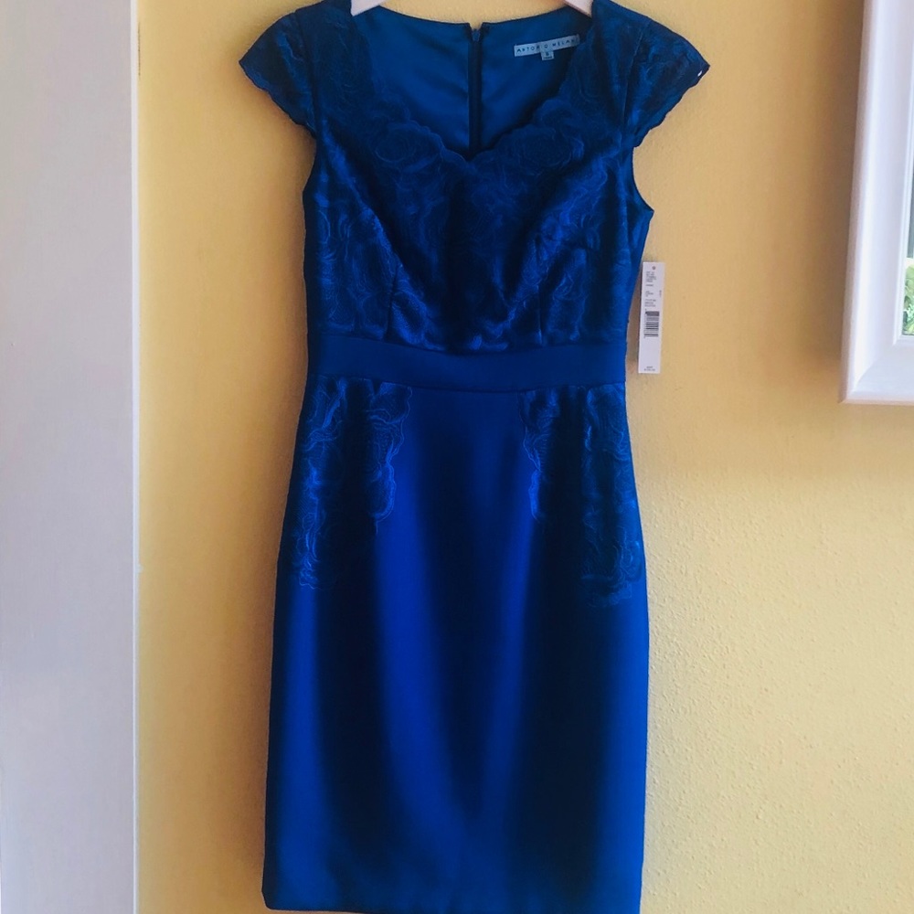 Winter Blue Antonio Melani Dress
